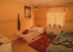 20080227_visning