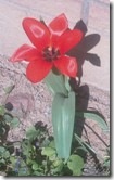 20080430_02