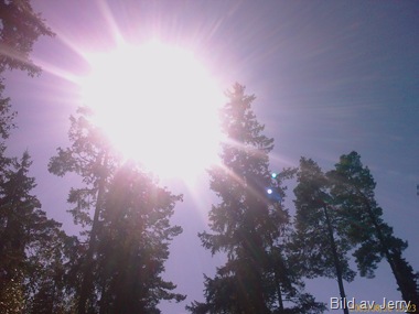 20090820_350