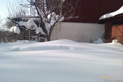 1002_vinter01