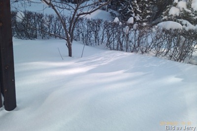 1002_vinter02