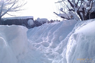 1002_vinter03