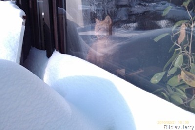 1002_vinter04