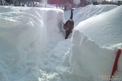 1002_vinter05