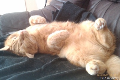 100307_felix1 100307_felix1