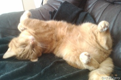 100307_felix2 100307_felix2