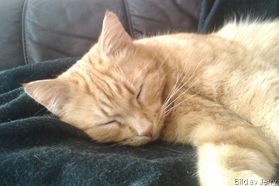 100307_felix3 100307_felix3