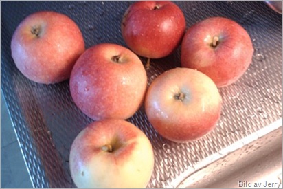 1009_apple2