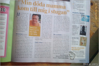 Artikel med bild