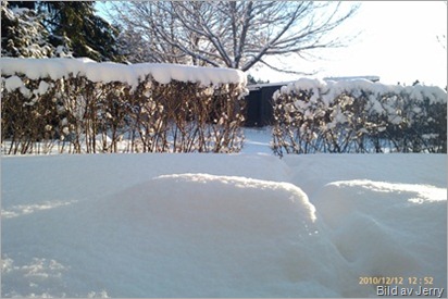 Vinter