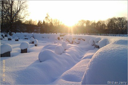 Kyrkogården