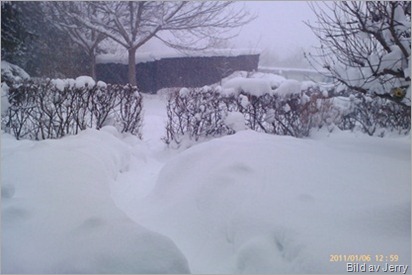 Snö