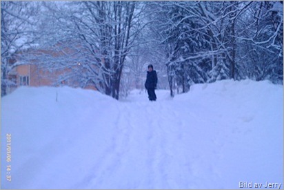 Ellet i snön