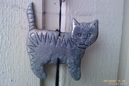 Utekatt