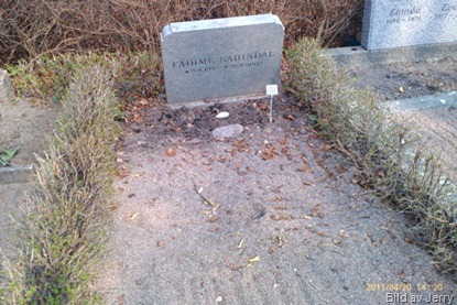 Fadimes grav 2011