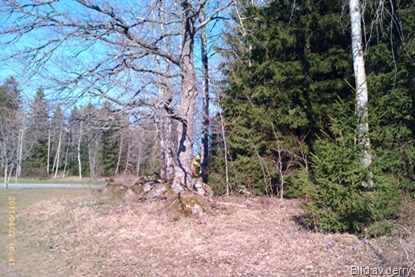 Vår Vår