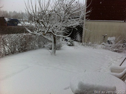 2012-03-31 2012-03-31