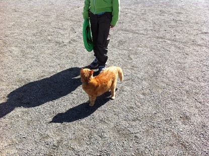 2012-04-29 2012-04-29