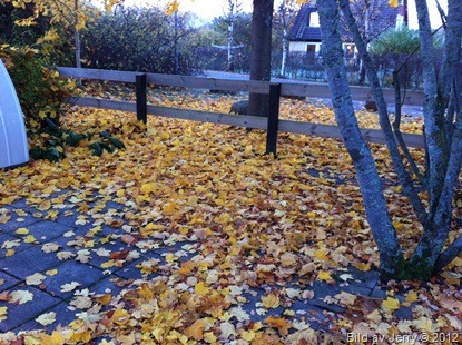 2012-10-25