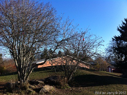 2012-10-27