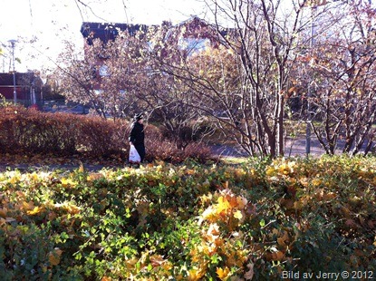 2012-10-27 2012-10-27