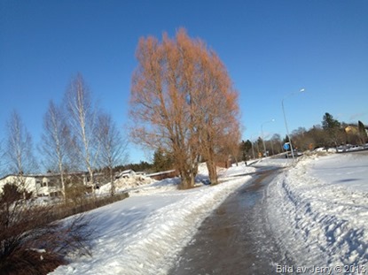2012-03-03 2013-03-03