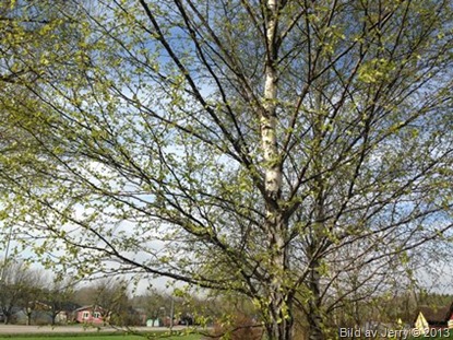 2013-05-10 2013-05-10