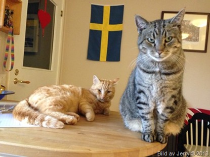 Midsommardagen 2013