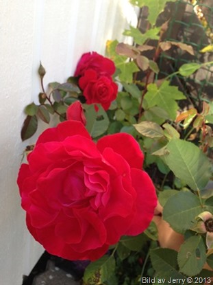 2013-10-12