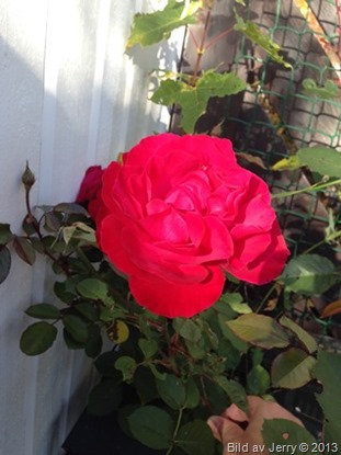 2013-10-12