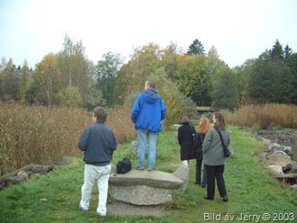 2003_jarna