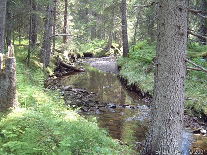 8 juli 2001