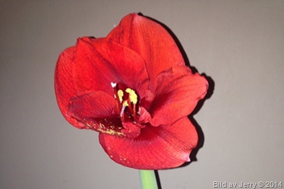 2014-01-04 2014-01-04