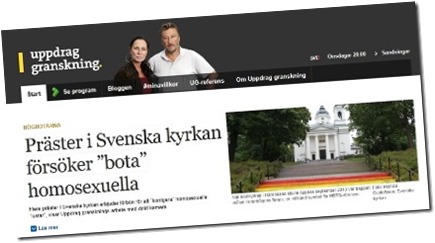 Skärmdump Uppdrag Granskning Skärmdump Uppdrag Granskning