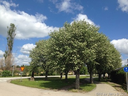 2014-06-01 2014-06-01