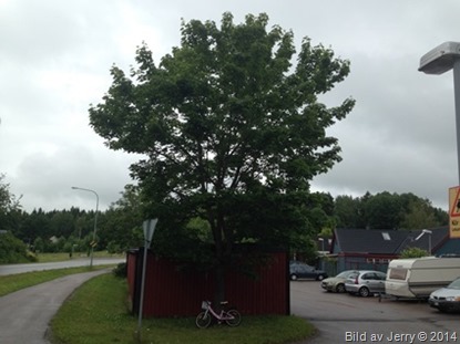 2014-07-01 2014-07-01