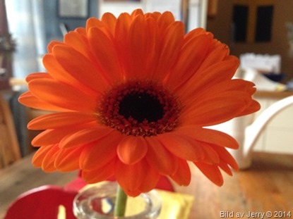 2014-08-26 2014-08-26