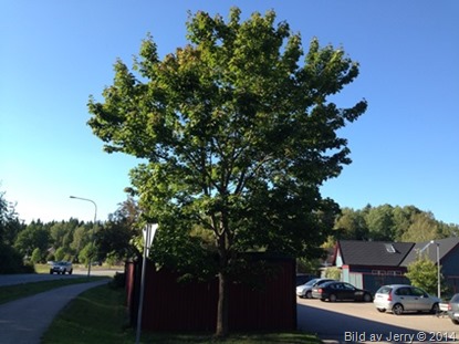 2014-09-04