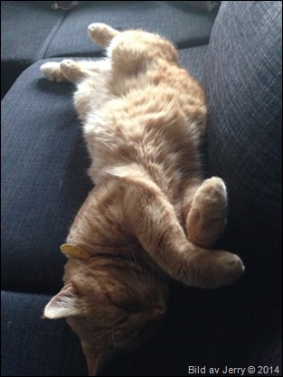 2014-09-28 Felix