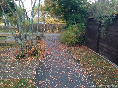 2014-10-10