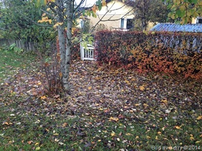 2014-10-10