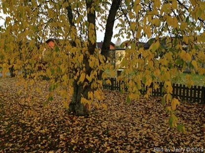 2014-10-10