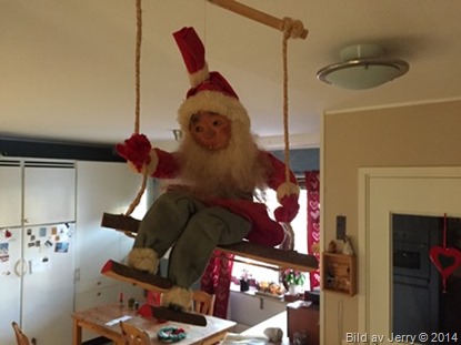 2014-11-29 Tomte