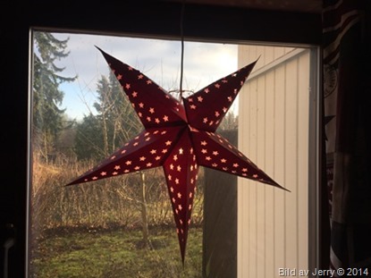 2014-11-29 Julstjärna röd