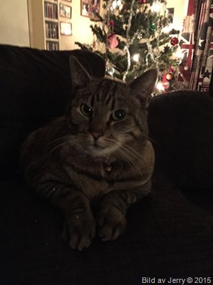 2015-01-01 Maxi