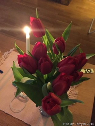 2015-02-01 Tulpaner 2015-02-01 Tulpaner