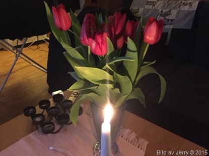2015-02-01 Tulpaner 2015-02-01 Tulpaner