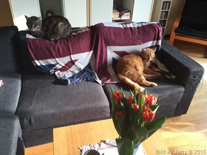 2015-03-01 2015-03-01