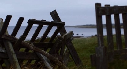 Skärmdump från SVT