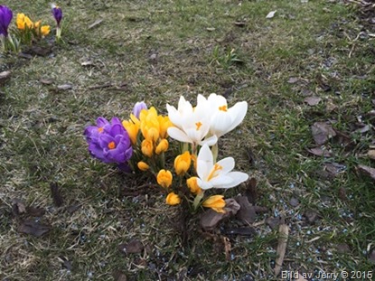 2015-04-10